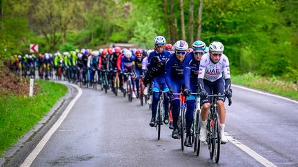 Le peloton mené par un coéquipier de Tadej Pogacar sur les routes de Liège-Bastogne-Liège, le 21 avril 2024. (DIRK WAEM/BELGA MAG)