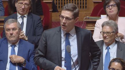 Philippe Dallier, sénateur (LR) de Seine-Saint-Denis, lors des questions d'actualité au gouvernement, au Sénat, le 7 juin 2018 (Public Sénat)