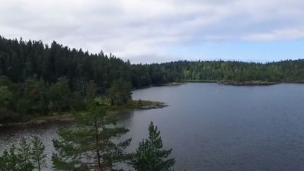 Le lac Ladoga en Russie, repère des phoques en danger