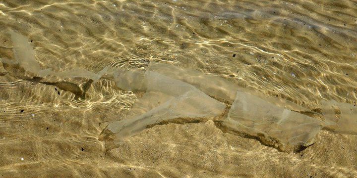 Déchet de plastique dans la mer (LARS HALBAUER / DPA / DPA PICTURE-ALLIANCE/AFP)