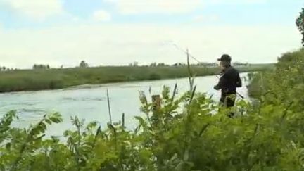 Insolite : un poisson géant péché dans les eaux du Rhône