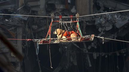 VIDEO. Quatre intox sur l'effondrement du pont Morandi à Gênes