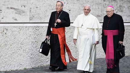 Le pape Fran&ccedil;ois au Vatican, le 13 octobre 2014. (MASSIMO VALICCHIA / NURPHOTO / AFP)