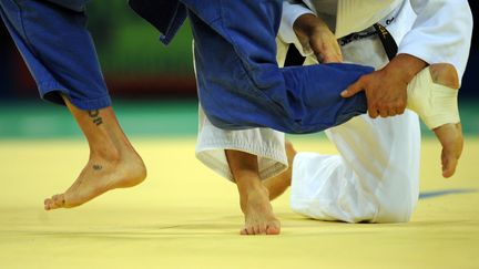 Le judo est en grande difficulté (CHRISTOPHE SIMON / AFP)