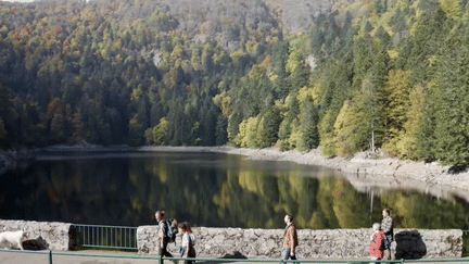 Tourisme : à la découverte de la vallée de Munster (France 2)