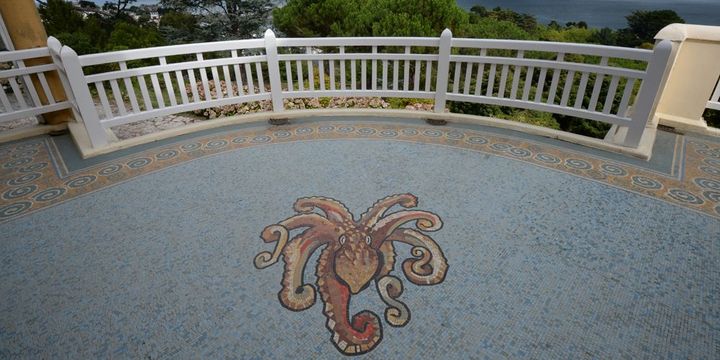 La grande terrasse du Caruhel et l'une de ses "habitantes"... (septembre 2013)
 (Damien Meyer / AFP)