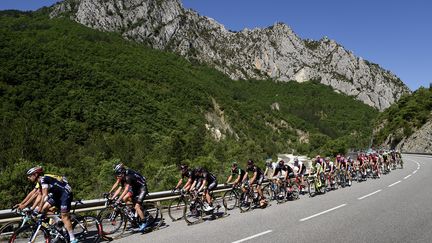  Le peloton s'attaque aux Alpes (ERIC FEFERBERG / AFP)