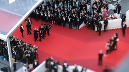 Des photographes en action au Palais des Festivals le 19 mai 2022 à Cannes (JOHN PHILLIPS / GETTY IMAGES EUROPE)