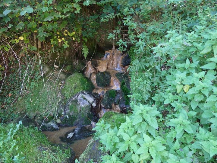 L'Auzon, ruisseau qui prend sa source sous l'usine, à Saint-Genès-Champanelle (Puy-de-Dôme), est pollué dès l'origine. (DR)