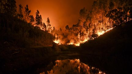 Un spectaculaire incendie s'est déclaré, dans la nuit du 17 au 18 juin, à Penela, dans le centre du Portugal. (PATRICIA DE MELO MOREIRA / AFP)