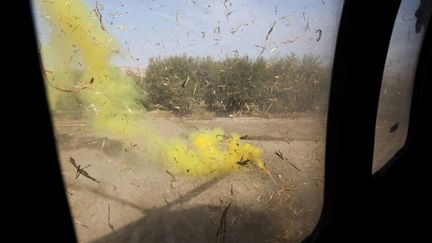 Une fumée jaune délimite la zone d'atterrissage du Black Hawk. (AFP PHOTO / BEHROUZ MEHRI)