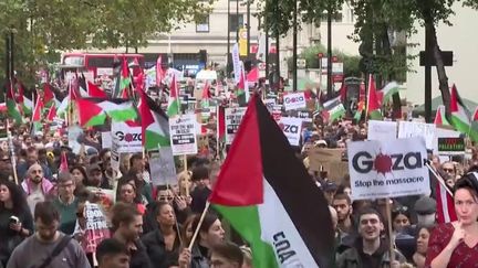 Guerre entre Israël et le Hamas : des manifestations pro-Palestine dans plusieurs pays