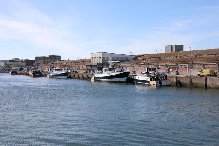 Le port de pêche de Lorient (Morbihan), le 14 mai 2019.&nbsp; (VALENTINE PASQUESOONE / FRANCEINFO)