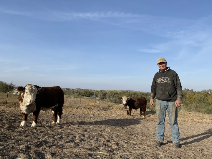 Chad Breeding, le maire de Miami (Texas), dans ses champs, le 20 octobre 2020. (RAPHAEL GODET / FRANCEINFO)