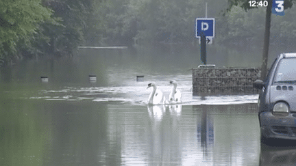 Inondations : en Essonne, les sinistrés craignent les pillages