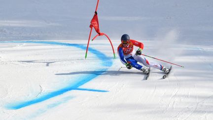 Alexis Pinturault participe au slalom géant de ski alpin, le 18 février 2018 à Pyeongchang (Corée du Sud). (DIMITAR DILKOFF / AFP)