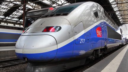 Le TGV parti le 29 juin vers 20 heures de Paris-Gare de Lyon a mis douze heures pour rallier Grenoble, au lieu de trois habituellement.&nbsp; (MANUEL COHEN / AFP)