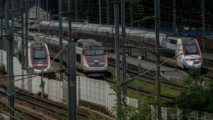 Des TGV en gare de Lille le 3 juin 2016. (PHILIPPE HUGUEN / AFP)