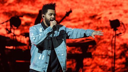 Abel Makkonen Tesfaye alias "The Weeknd" en concert à San Antonio (Texas) en 2017. (SUZANNE CORDEIRO / AFP)