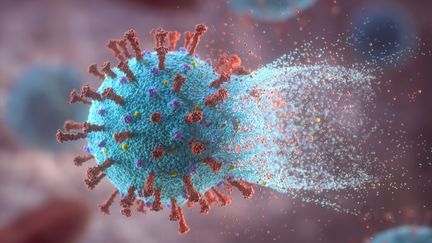 Coronavirus : une mutation du virus qui interroge