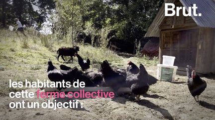 Voilà comment les habitants de cette ferme des Pyrénées-Atlantiques s'organisent pour s'approcher de l'autonomie alimentaire et énergétique.