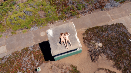 Capture d'&eacute;cran de la vid&eacute;o "Drone Boning", o&ugrave; un drone filme des &eacute;bats sexuels. (GHOST+COW FILMS)