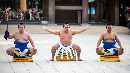 Hakuho,&nbsp;troisième&nbsp;yokozuna&nbsp;d’origine étrangère à être naturalisé au Japon, le 6 janvier 2017. (BEHROUZ MEHRI / AFP)