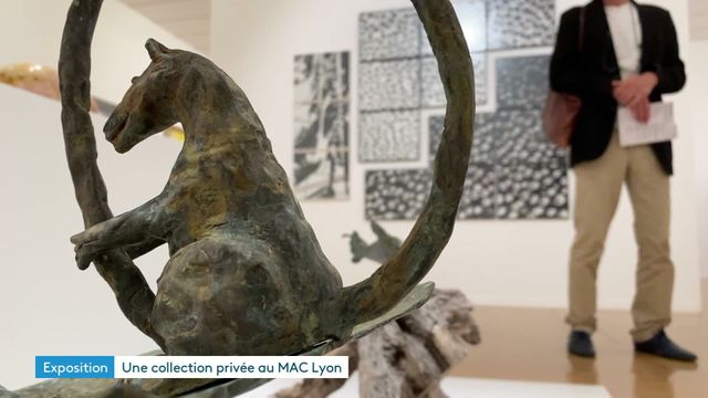 Exposition Une histoire de famille au MAC de Lyon