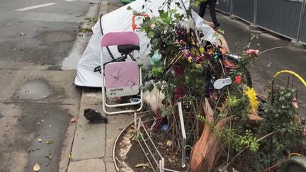 Paris : la mairie annonce la fin des fosses d'arbres végétalisées