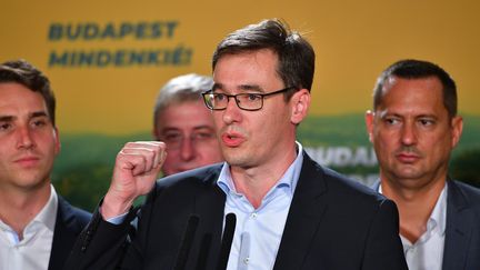 Gergely Karacsony, élu maire de Budapest, célèbre sa victoire le 13 octobre 2019. (ATTILA KISBENEDEK / AFP)