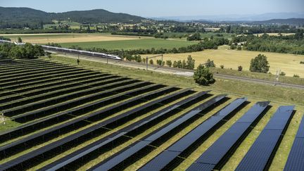 Panneaux solaires installés dans la vallée du Rhône, à Chabeuil Montmeyran, le 25 juin 2023. (BERTRAND RIOTORD  / MAXPPP)