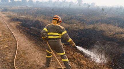 Un pompier lors d'un incendie près de Zamora (Espagne), le 18 juin 2022. (CESAR MANSO / AFP)