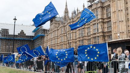 Des opposants au Brexit manifestent devant le Parlement, le 28 août 2019, à Londres.&nbsp; (WIKTOR SZYMANOWICZ / NURPHOTO / AFP)