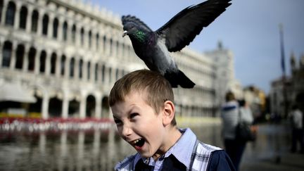 Un pigeon se pose sur la t&ecirc;te d'un petit gar&ccedil;on place Saint-Marc &agrave; Venise (Italie), le 4 novembre 2013. (OLIVIER MORIN / AFP)