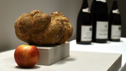 Truffe blanche, le trésor de l'Italie