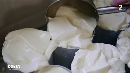 VIDEO. "Le camembert de Normandie doit rester au lait cru" : un artisan fromager se bat à Camembert contre la pasteurisation voulue par les grands groupes laitiers (13H15 LE SAMEDI / FRANCE 2)