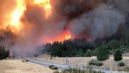 Un nouvel incendie fait rage dans les forêts du nord de la Californie, le 5 septembre 2018, après un été marqué par une&nbsp;une vague d'incendies particulièrement violents et précoces. (SOCIAL MEDIA / REUTERS)