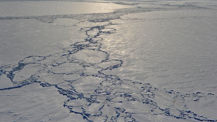 Cinéma : Mads Mikkelsen seul dans un désert de glace dans "Arctic"