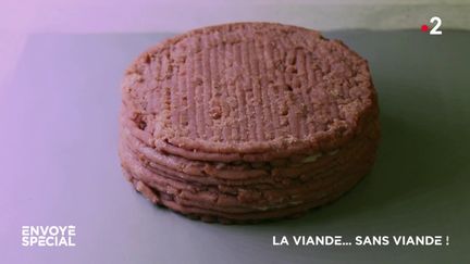 La viande... sans viande ! (ENVOYÉ SPÉCIAL  / FRANCE 2)