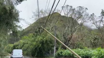 Cyclone Belal : des dégâts importants sur l'île Maurice et à La Réunion (France 2)