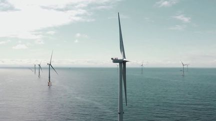 Royaume-Uni : champion mondial de l’énergie éolienne en mer grâce à l’Écosse