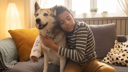 Dogs soothe our pain. An international study has just proven it. (Illustration) (SVETIKD / E+ / GETTY IMAGES)