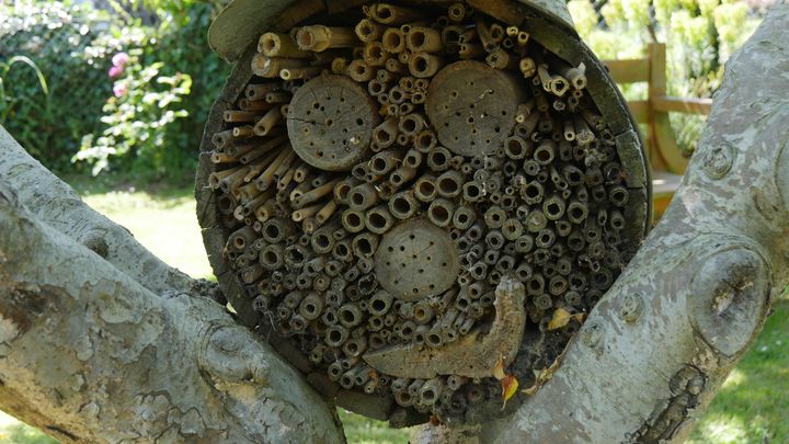 Hôtel à insectes fabriqué maison au Jardin de Basroger, dans le Cotentin. (ISABELLE MORAND / RADIO FRANCE / FRANCE INFO)