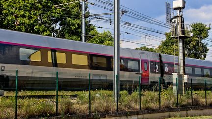 Un TGV SNCF en provenance de Paris arrive au Mans (Sarthe), le 29 juillet 2022.&nbsp; (GILE MICHEL/SIPA)