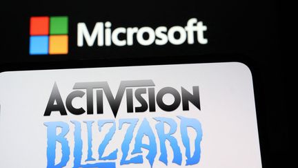 L'autorité américaine de la concurrence a porté plainte le 8 décembre 2022 pour bloquer le rachat d'Activision Blizzard par Microsoft. (photo d'illustration) (HAKAN NURAL / ANADOLU AGENCY / AFP)