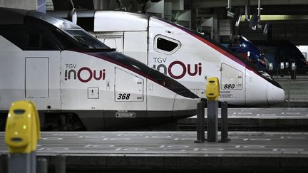 Des Trains à grande vitesse Inoui de la SNCF à la gare Montparnasse à Paris, le 19 janvier 2023. (STEPHANE DE SAKUTIN / AFP)