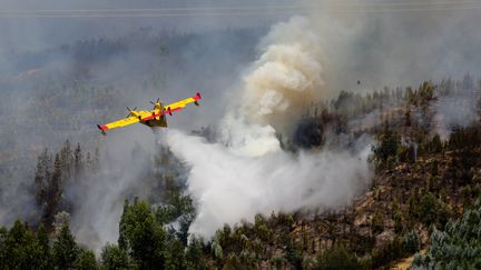 Des canadairs larguent des tonnes d'eau pour tenter d'éteindre les flammes.&nbsp; (MAXPPP)