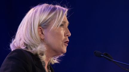 La pr&eacute;sidente du FN, Marine Le Pen, lors d'un meeting &agrave; Arpajon (Essonne), le 14 septembre 2015. (FRANCOIS PAULETTO / CITIZENSIDE.COM / AFP)