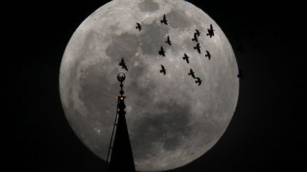 Pleine lune au-dessus d'une mosqu&eacute;e &agrave; Amman (Jordanie), le 5 mai 2012. (ALI JAREKJI / REUTERS)