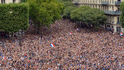 La foule des supporters français massés devant l'hôtel de ville de Paris, pour voir le quart de finale de la Coupe du monde France-Allemagne, le 4 juillet 2014.&nbsp; (MIGUEL MEDINA / AFP)